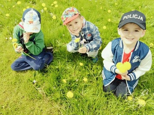 Grafika #3: 15.05.2015 Majowa łąka - sesja zdjęciowa