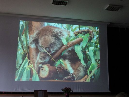 Grafika #19: 04.04.2017 Spotkanie autorskie z Elżbietą Bednarczyk