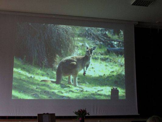 Grafika #20: 04.04.2017 Spotkanie autorskie z Elżbietą Bednarczyk