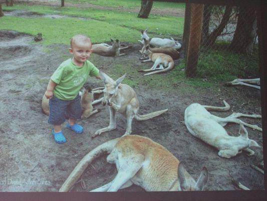 Grafika #22: 04.04.2017 Spotkanie autorskie z Elżbietą Bednarczyk