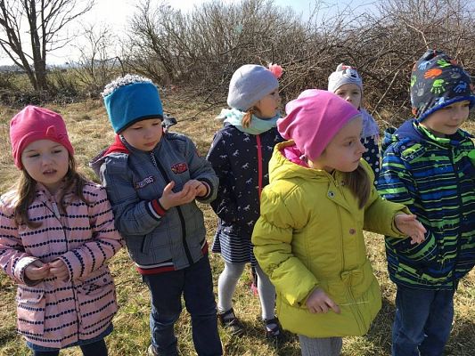 Grafika #3: 29.03.2017 Grupa III w wiejskim gospodarstwie