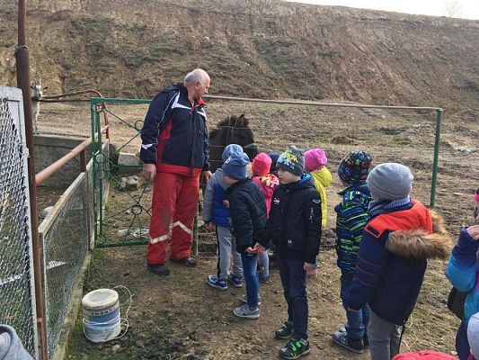 Grafika #6: 29.03.2017 Grupa III w wiejskim gospodarstwie