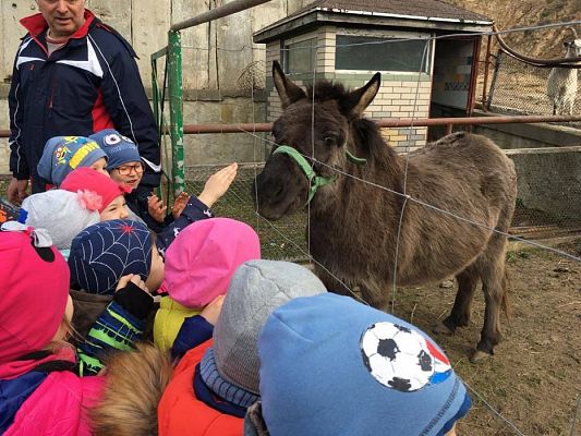 Grafika #8: 29.03.2017 Grupa III w wiejskim gospodarstwie