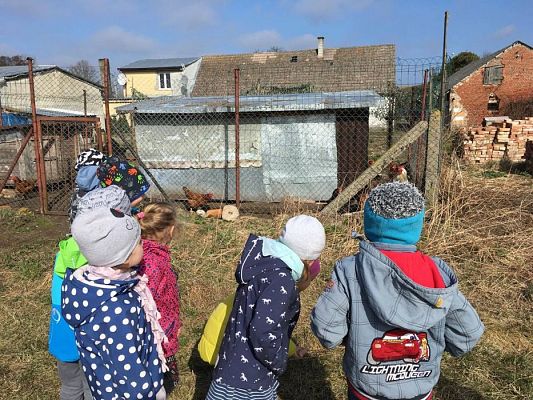 Grafika #9: 29.03.2017 Grupa III w wiejskim gospodarstwie