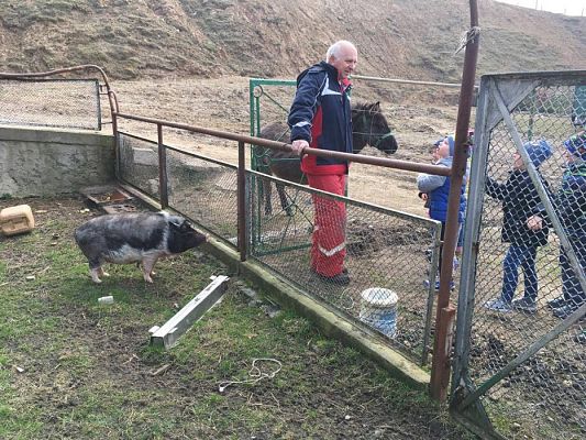 Grafika #10: 29.03.2017 Grupa III w wiejskim gospodarstwie