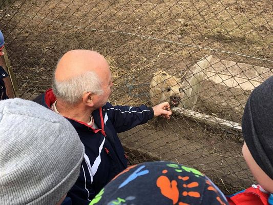 Grafika #11: 29.03.2017 Grupa III w wiejskim gospodarstwie