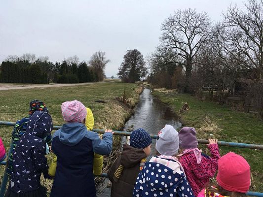 Grafika #14: 29.03.2017 Grupa III w wiejskim gospodarstwie