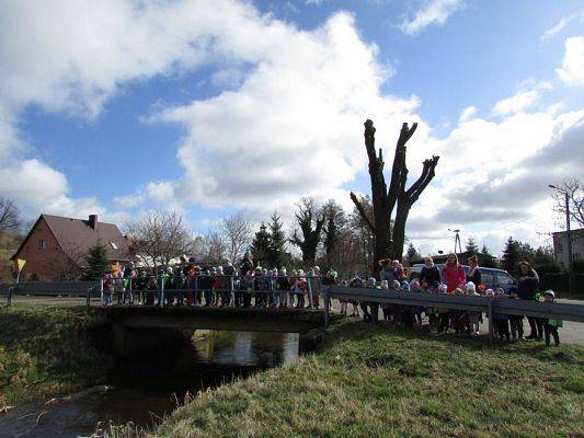 Grafika #52: 21.03.2017 Witamy wiosnę!