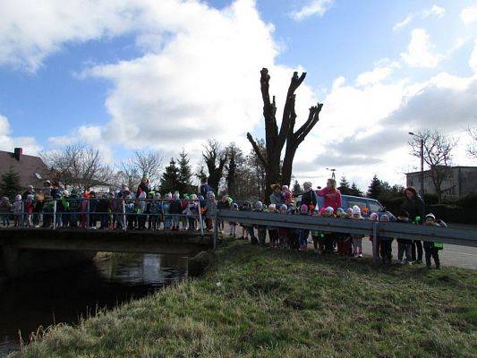 Grafika #53: 21.03.2017 Witamy wiosnę!