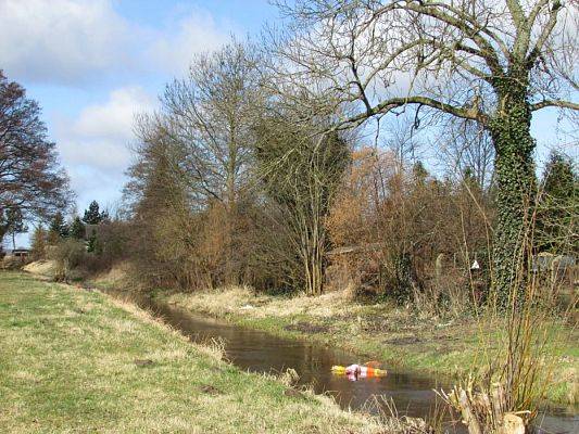 Grafika #54: 21.03.2017 Witamy wiosnę!