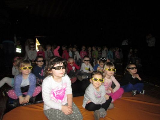 Grafika #8: 14.03.2017 - Kino 3D - "Angry Birds"