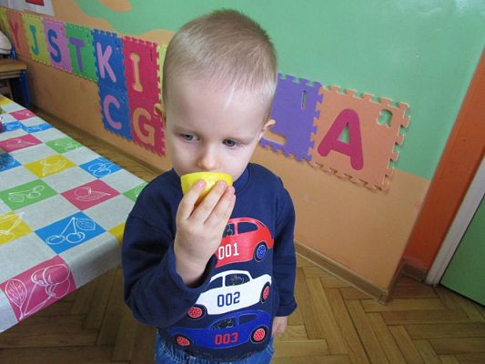 Grafika #45: Tajemnica eliksiru dla Babci i Dziadka!