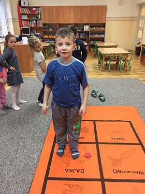 Grafika #2: Ferie zimowe 2017