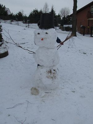 Grafika #37: 09.01.2017 Zimowe zabawy