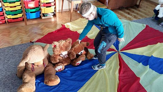 Grafika #8: 25.11.2016 Międzynarodowy Dzień Pluszowego Misia