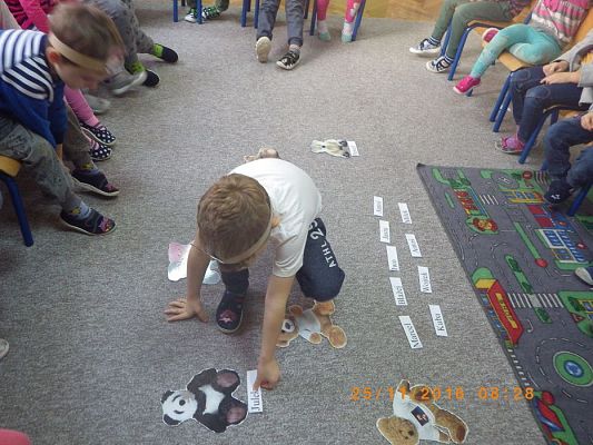 Grafika #61: 25.11.2016 Międzynarodowy Dzień Pluszowego Misia