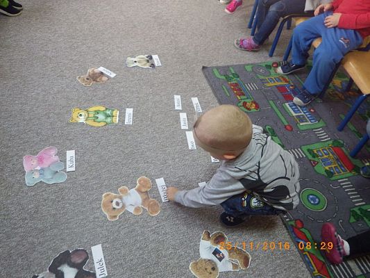 Grafika #63: 25.11.2016 Międzynarodowy Dzień Pluszowego Misia