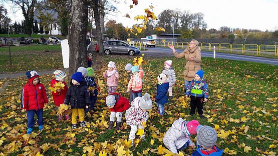 Grafika #7: Jesienny spacer "Maluchów"