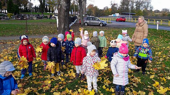 Grafika #19: Jesienny spacer "Maluchów"