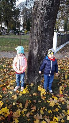 Grafika #22: Jesienny spacer "Maluchów"