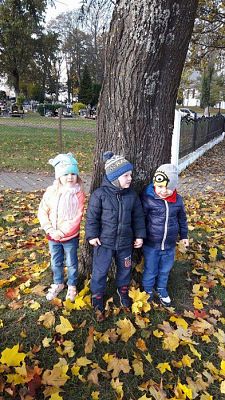 Grafika #23: Jesienny spacer "Maluchów"