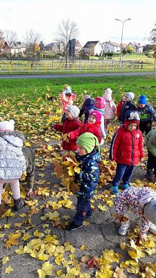 Grafika #25: Jesienny spacer "Maluchów"