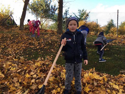 Grafika #0: Jesienne porządki na podwórku przedszkolnym