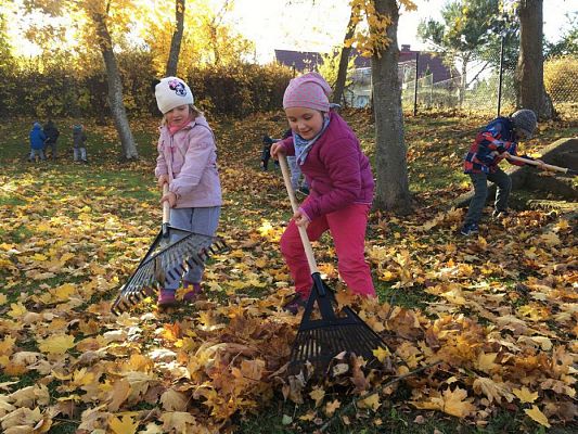 Grafika #7: Jesienne porządki na podwórku przedszkolnym