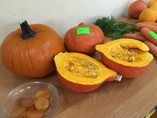 Grafika #21: 11.10.2016 Kolorowy Dzień Warzyw i Owoców gr.III