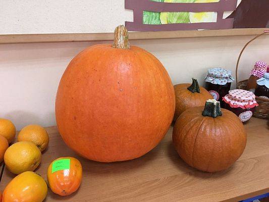 Grafika #25: 11.10.2016 Kolorowy Dzień Warzyw i Owoców gr.III