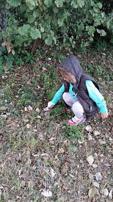 Grafika #48: 23.09.2016 Akcja "Sprzątanie Świata"