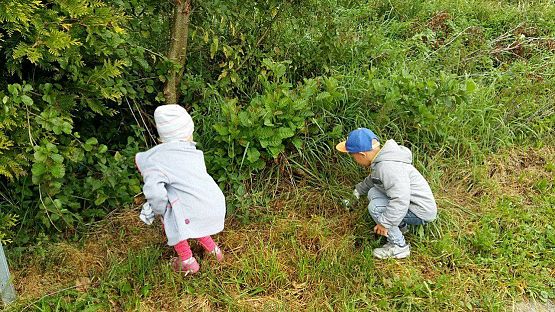 Grafika #49: 23.09.2016 Akcja "Sprzątanie Świata"