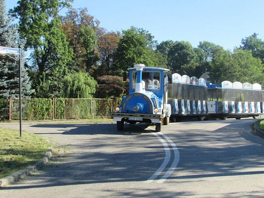 Grafika #0: 16.09.2016 Miniolimpiada Osób Niepełnosprawnych