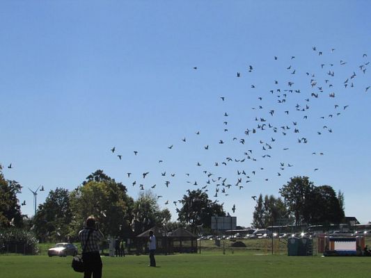 Grafika #28: 16.09.2016 Miniolimpiada Osób Niepełnosprawnych