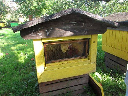 Grafika #11: 09.09.2016 Wycieczka do pasieki