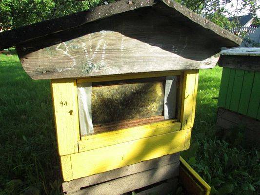 Grafika #12: 09.09.2016 Wycieczka do pasieki