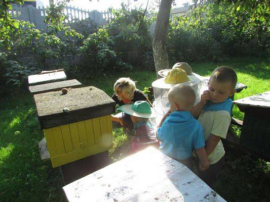 Grafika #13: 09.09.2016 Wycieczka do pasieki