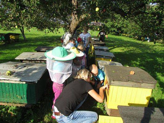Grafika #16: 09.09.2016 Wycieczka do pasieki