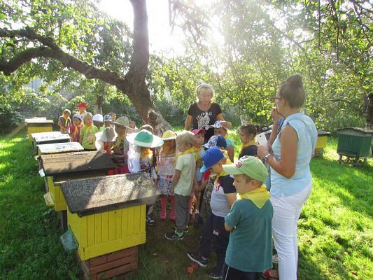 Grafika #29: 09.09.2016 Wycieczka do pasieki