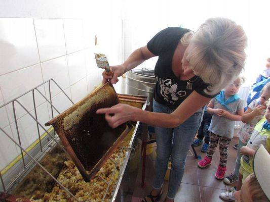 Grafika #36: 09.09.2016 Wycieczka do pasieki