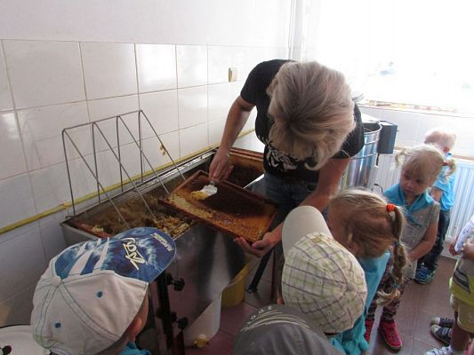 Grafika #38: 09.09.2016 Wycieczka do pasieki