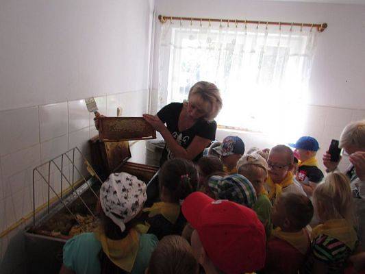 Grafika #42: 09.09.2016 Wycieczka do pasieki