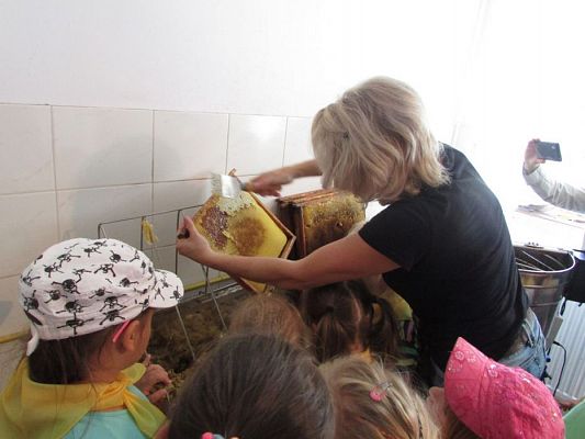 Grafika #43: 09.09.2016 Wycieczka do pasieki