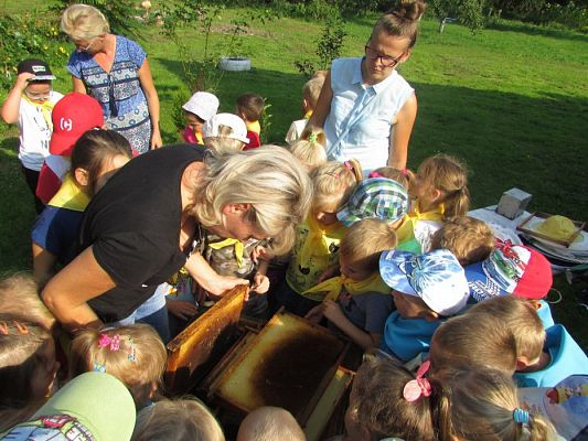 Grafika #58: 09.09.2016 Wycieczka do pasieki