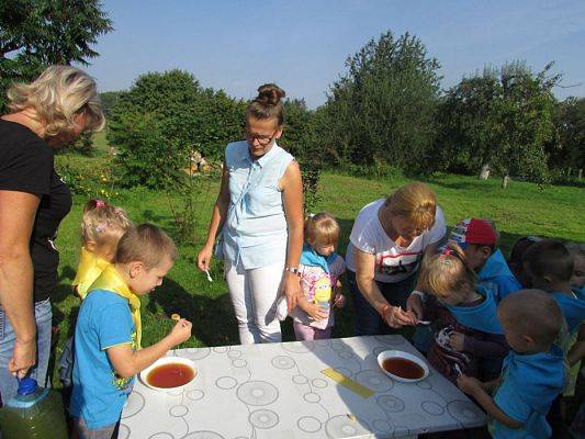 Grafika #62: 09.09.2016 Wycieczka do pasieki