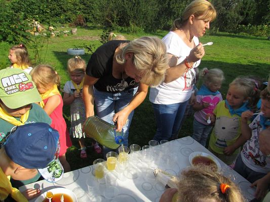 Grafika #66: 09.09.2016 Wycieczka do pasieki