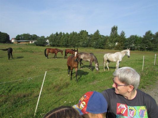 Grafika #2: 15.09.2020 Wycieczka do Stadniny koni w Nowęcinie cz.II