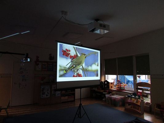 Grafika #8: 19.02.2020 Zajęcia przyrodnicze poprowadzone przez Panią ze Słowińskiego Parku Narodowego