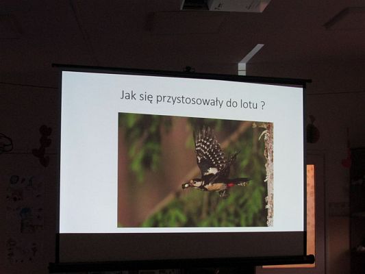 Grafika #10: 19.02.2020 Zajęcia przyrodnicze poprowadzone przez Panią ze Słowińskiego Parku Narodowego