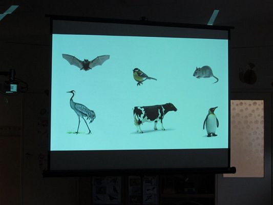 Grafika #22: 19.02.2020 Zajęcia przyrodnicze poprowadzone przez Panią ze Słowińskiego Parku Narodowego